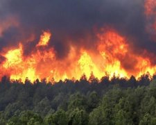 Лісові пожежі загрожують місту в Новій Зеландії