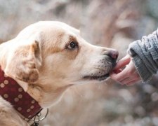18 серпня: головні свята дня
