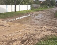 Тернополяни ткнули слуг Зеленського в болото замість доріг: "хто ризикне покататися?"