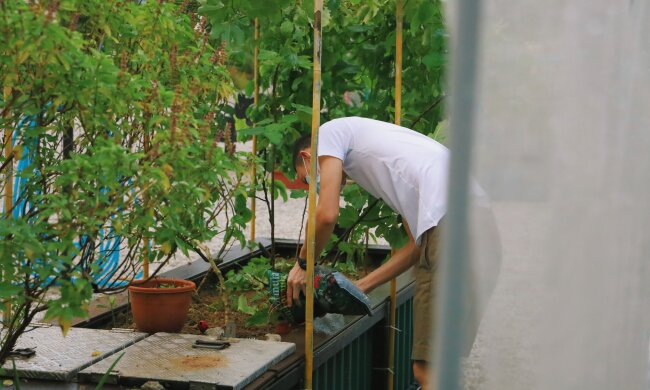 Садовод / фото: Unsplash