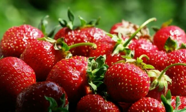 Стоимость клубники рекордно подорожала