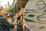 Субсидия на дрова и газ: деньги в руках