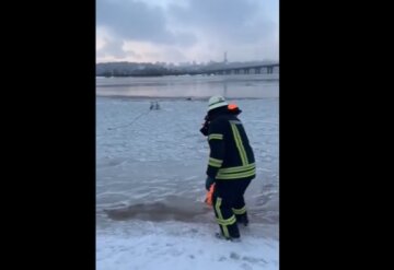 В Киеве спасли провалившегося под лед пса, скриншот из видео