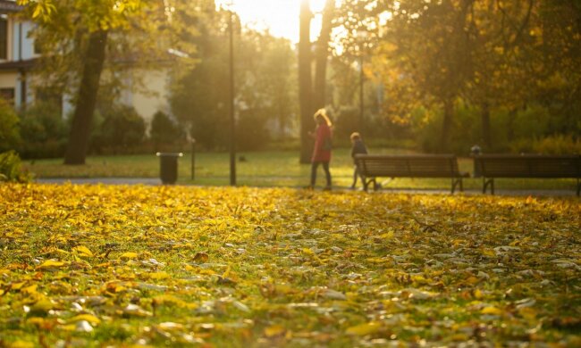 Погода на начало недели: синоптики ошарашили прогнозом, когда первые заморозки