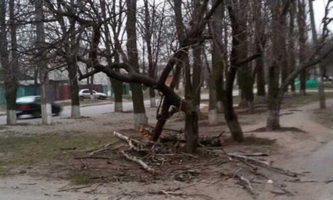 Из-за ненастья 6 областей в Украине обесточено