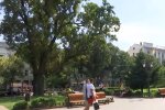 Літня спека, скріншот: YouTube