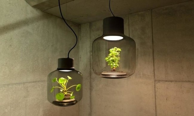 Світлодіодна лампа дозволить вирощувати рослини без світла і води