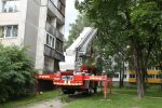 Ночував на дереві: під Дніпром малюк застряг на 10-метровій висоті, рятували всім містом
