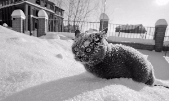 Морозы снова шокируют украинцев