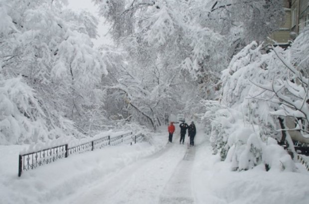 Погода на 25 грудня: Україна побіліє від снігу