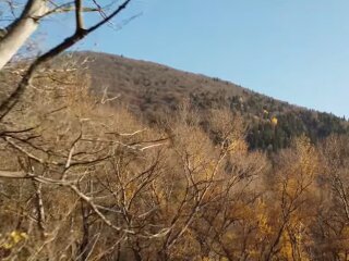 Прогноз погоди, скріншот з відео