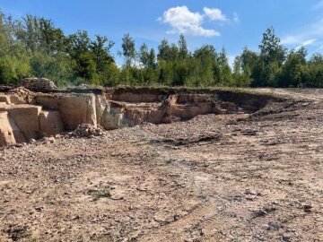 ділянка лісогосподарського призначення у Житомирській області