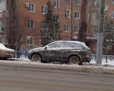Країна психів: росіянин збив собаку і не розлучається з її трупом