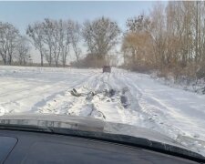 На Киевщине сотни животных оказались в снежной ловушке, спасать - некому: "Ситуация критическая"