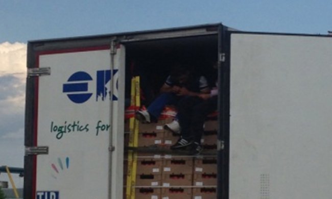 На Буковине в холодильнике нашли румынских нелегалов