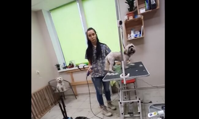 Скрін, відео YouTube