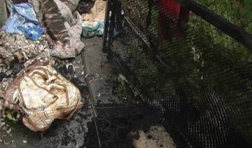 Шестирічний хлопчик згорів заживо у зачиненому домі