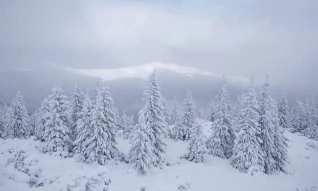 Перший сніг у Карпатах, фото з соцмереж