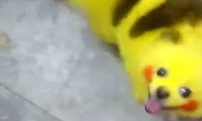 Англійці перетворюють домашніх улюбленців на покемонів