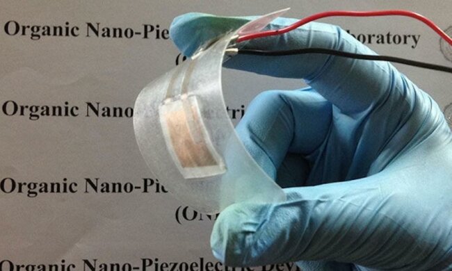 Індуси придумали рибну батарею