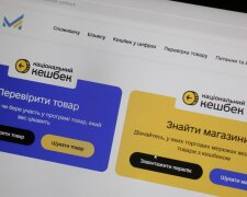 Национальный кэшбек: деньги, гривны