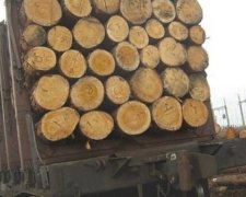Активисты задержали контрабанду на Львовщине