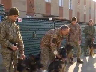 В Івано-Франківську військові дресирують собак, фото: скріншот з відео