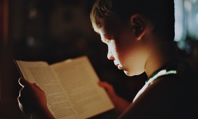 Мальчик читает книгу / фото: Pixabay