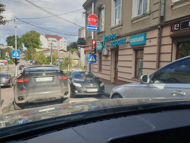 В Тернополе засекли "оленя" парковки – "Помахал руками и ушел"