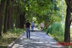 Амброзія на вулицях Дніпра, серпень 2026