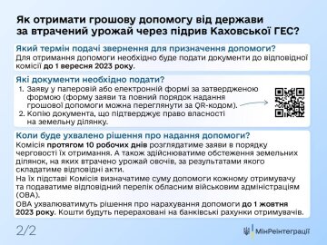 Как получить помощь. Фото: Минреинтеграции