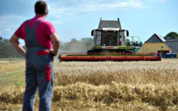 Борис і Гліб Сіячі 15 травня: чого категорично не можна робити