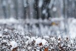 Харків заклякне під крижаним душем 12 лютого, де ваші парасольки
