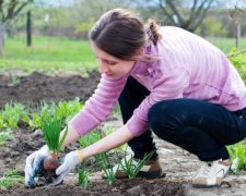 Місячний календар городника 2019: як виростити найкращий урожай в Україні