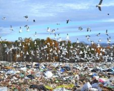 Україна потопатиме у смітті вже за 5 років