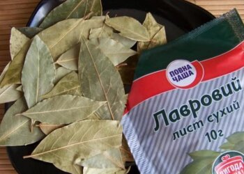 Удобрение из лаврового перца, скриншот: YouTube