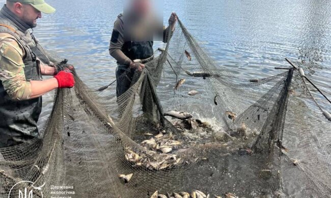 Золота рибка по-білоцерківськи: фермер наловив браконьєрським неводом збитків на 6 мільйонів