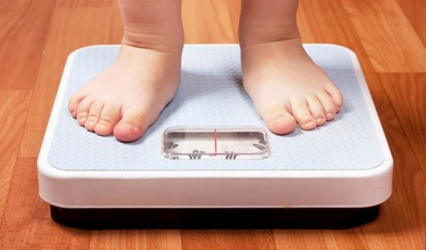 Некачественное образование провоцирует ожирение