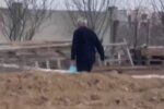 Шкуродер розправився з котом, кадр з відео