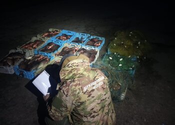 Держекоінспекція