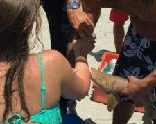 Акула предпочла умереть, но не отпустить жертву
