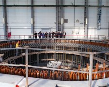 Стабільні тарифи на електроенергію для населення залишаться протягом 1,5 року, – Чех