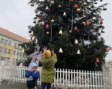 В Ужгороде "проснулась" главная новогодняя красавица, украинцы не нарадуются: "Украшение Закарпатья"