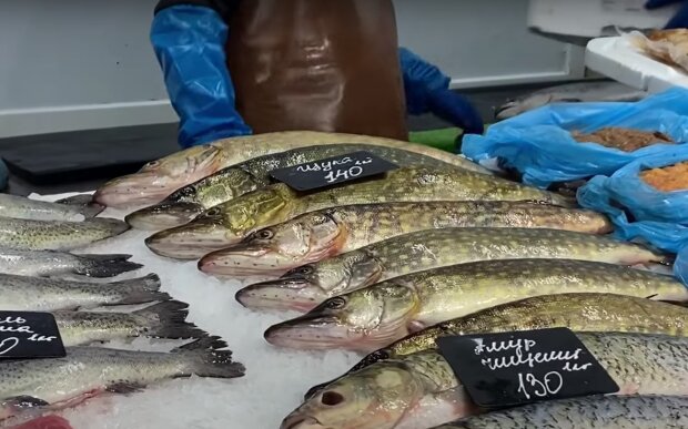 Ціни на рибу. Фото: скрін youtube