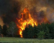 Закривайте вікна: в Чорнобилі горить "Рудий ліс", вітер несе на Київ