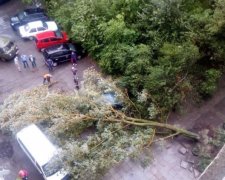 Вікна щільно зачиніть: стихія готує киянам справжні жахіття
