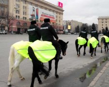 Патрульная лошадь едва не затоптала киевлянку с ребенком