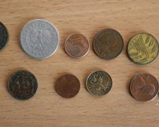 Чоловік сховав від прикордонників старовинні монети у лікарських травах