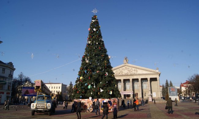 "П'яна" ялинка поставила Тернопільщину на вуха, люди ридають від сміху