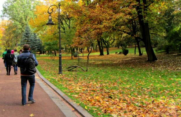 Погода на 8 вересня подарує українцям райську насолоду, осінь запізнюється